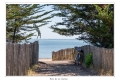 Bois de la Chaise, Île de Noirmoutier