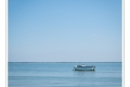 Bois de la Chaise, Île de Noirmoutier