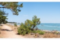 Bois de la Chaise, Île de Noirmoutier