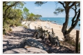 Bois de la Chaise, Île de Noirmoutier