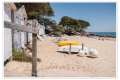 Bois de la Chaise, Île de Noirmoutier