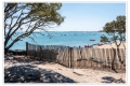 Bois de la Chaise, Île de Noirmoutier