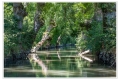 Maillezais, Marais Poitevin