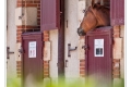 Haras de la Vendée, La Roche-sur-Yon