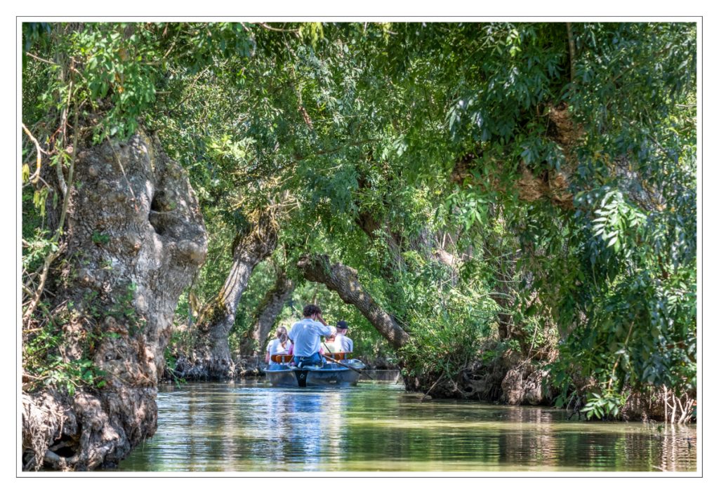 Maillezais, Marais Poitevin