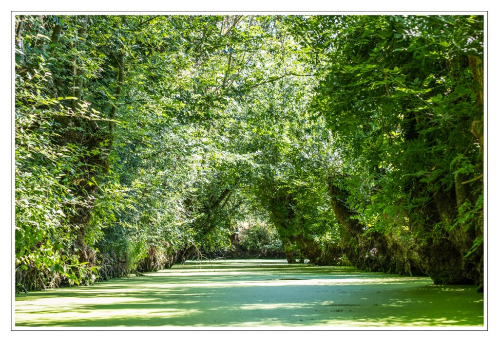 Maillezais, Marais Poitevin