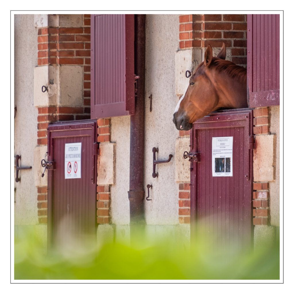 Haras de la Vendée, La Roche-sur-Yon