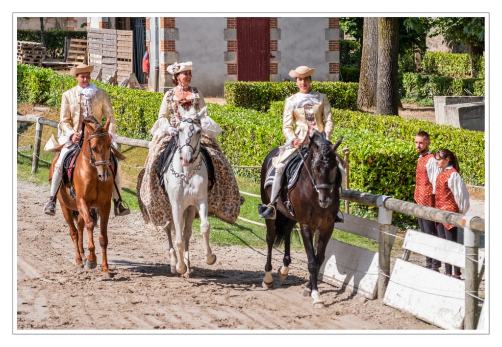 Haras de la Vendée, La Roche-sur-Yon