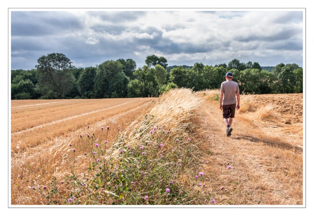 Pays de Chantonnay